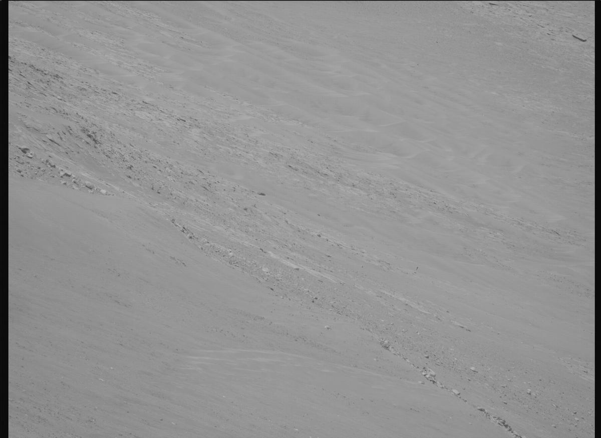 This image was taken by MCZ_RIGHT onboard NASA's Mars rover Perseverance on Sol 1461