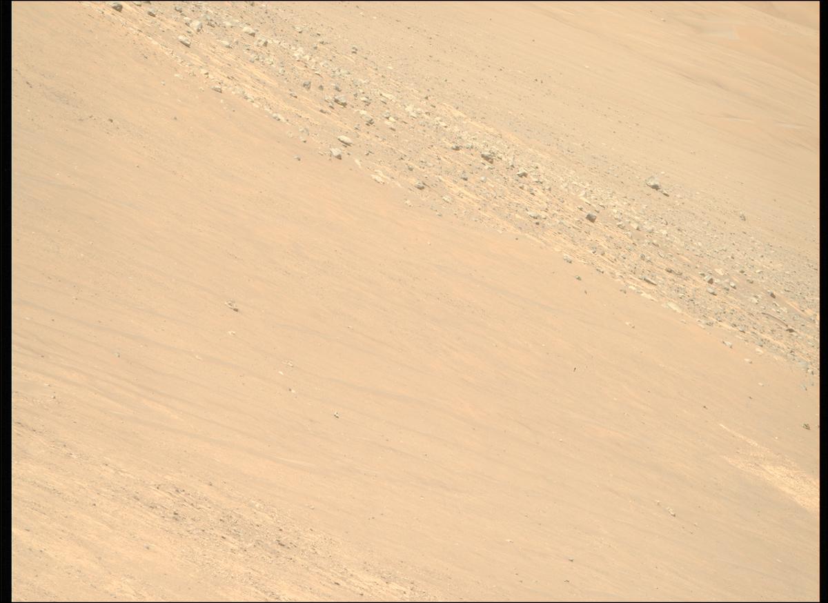 This image was taken by MCZ_RIGHT onboard NASA's Mars rover Perseverance on Sol 1461