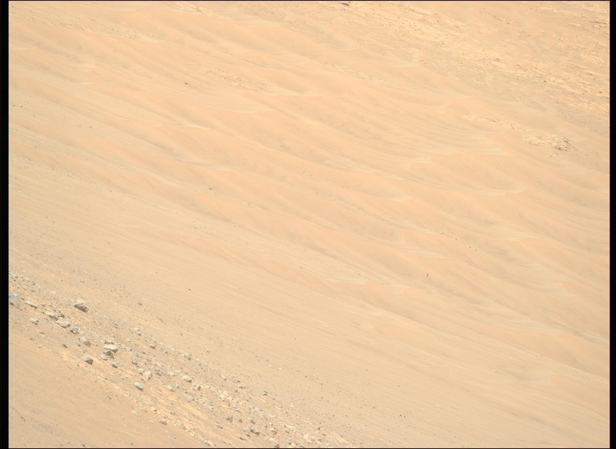 This image was taken by MCZ_RIGHT onboard NASA's Mars rover Perseverance on Sol 1461