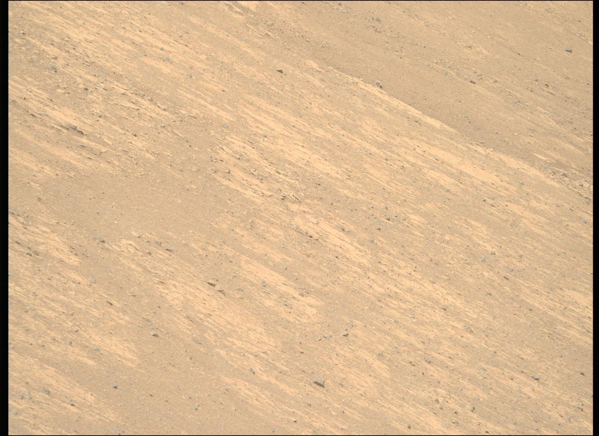 This image was taken by MCZ_RIGHT onboard NASA's Mars rover Perseverance on Sol 1461