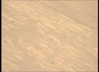 View image taken on Mars, Mars Perseverance Sol 1461: Right Mastcam-Z Camera