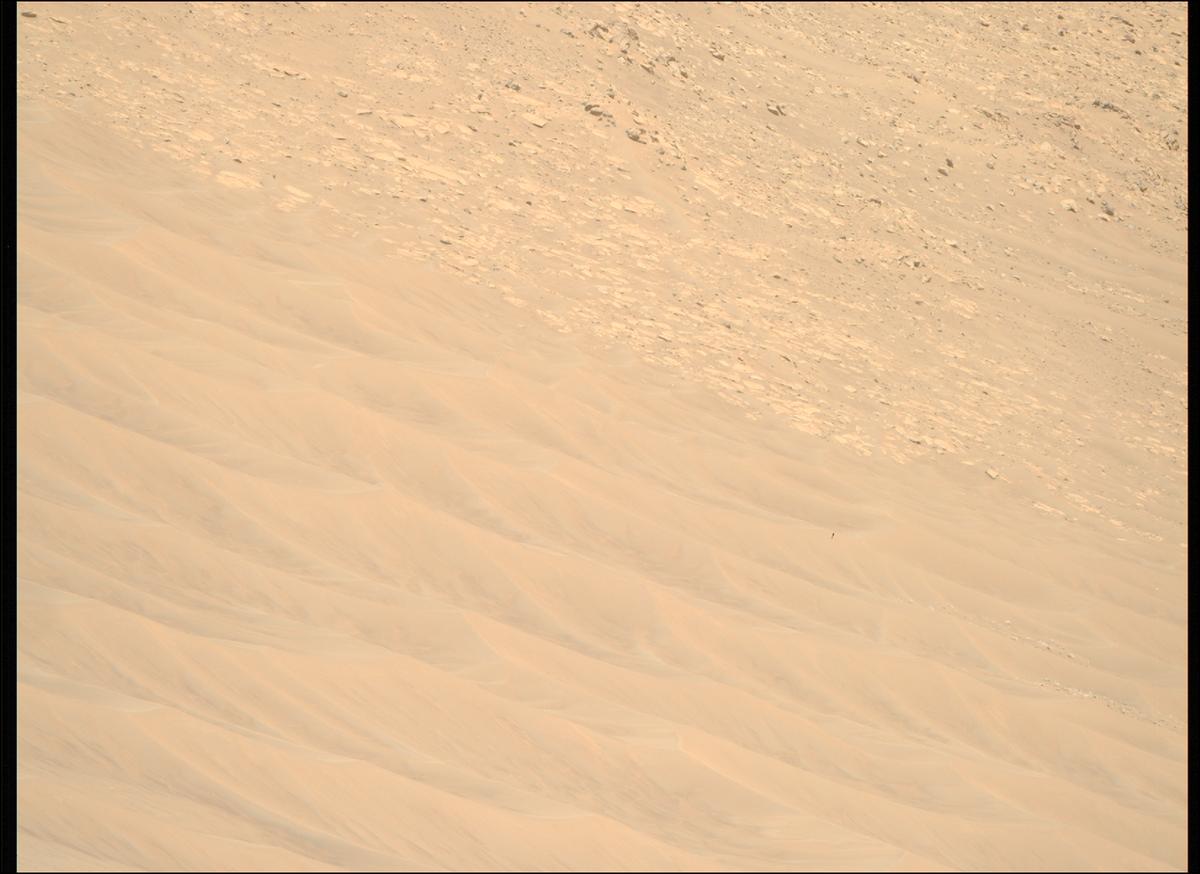 This image was taken by MCZ_RIGHT onboard NASA's Mars rover Perseverance on Sol 1461