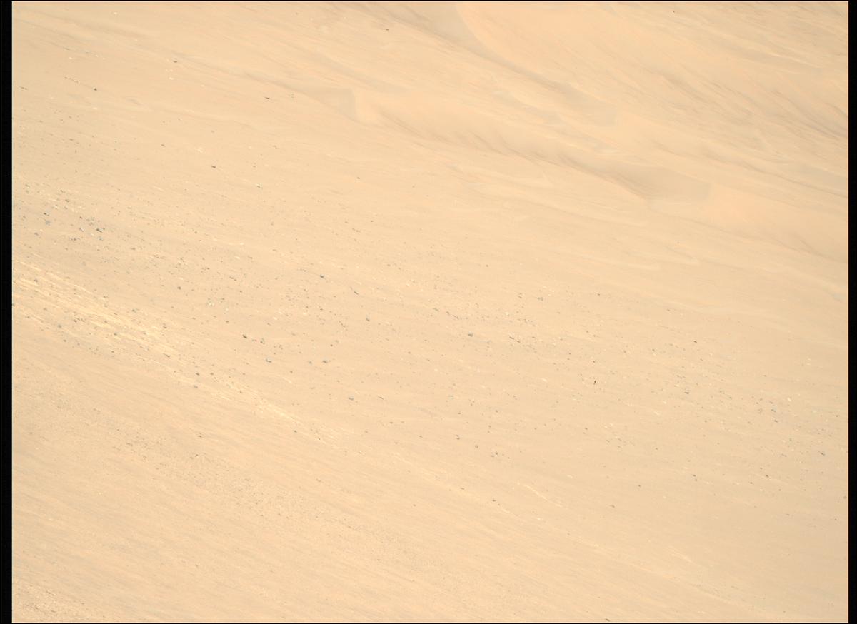 This image was taken by MCZ_RIGHT onboard NASA's Mars rover Perseverance on Sol 1461