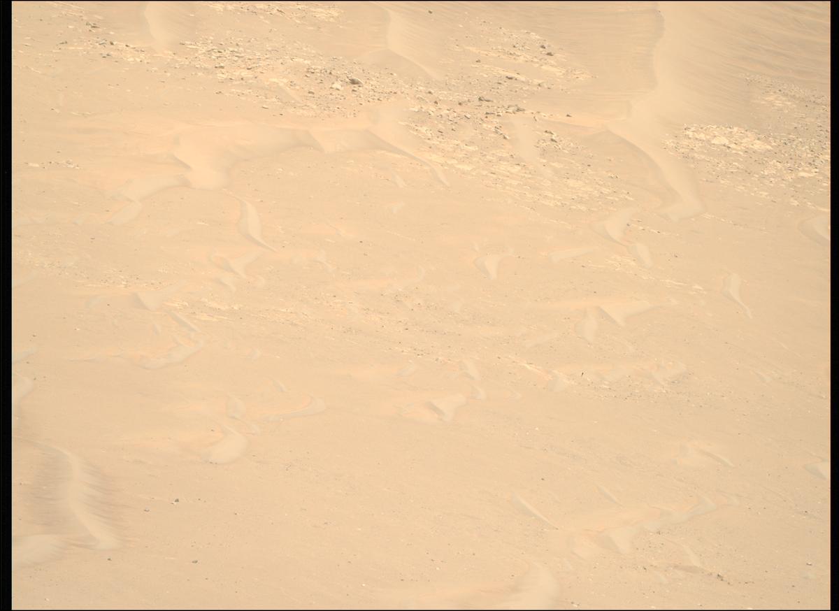 This image was taken by MCZ_RIGHT onboard NASA's Mars rover Perseverance on Sol 1461