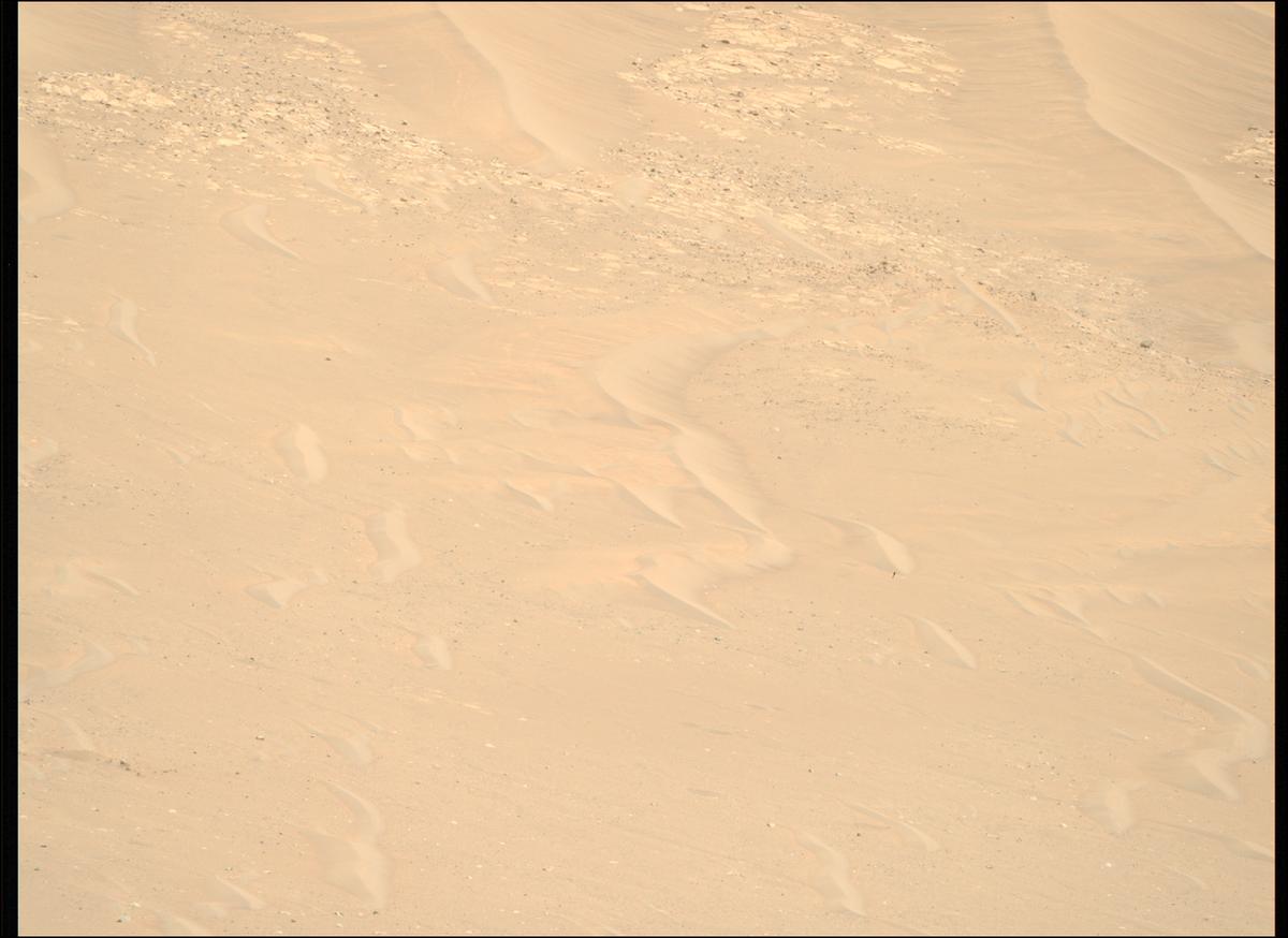 This image was taken by MCZ_RIGHT onboard NASA's Mars rover Perseverance on Sol 1461