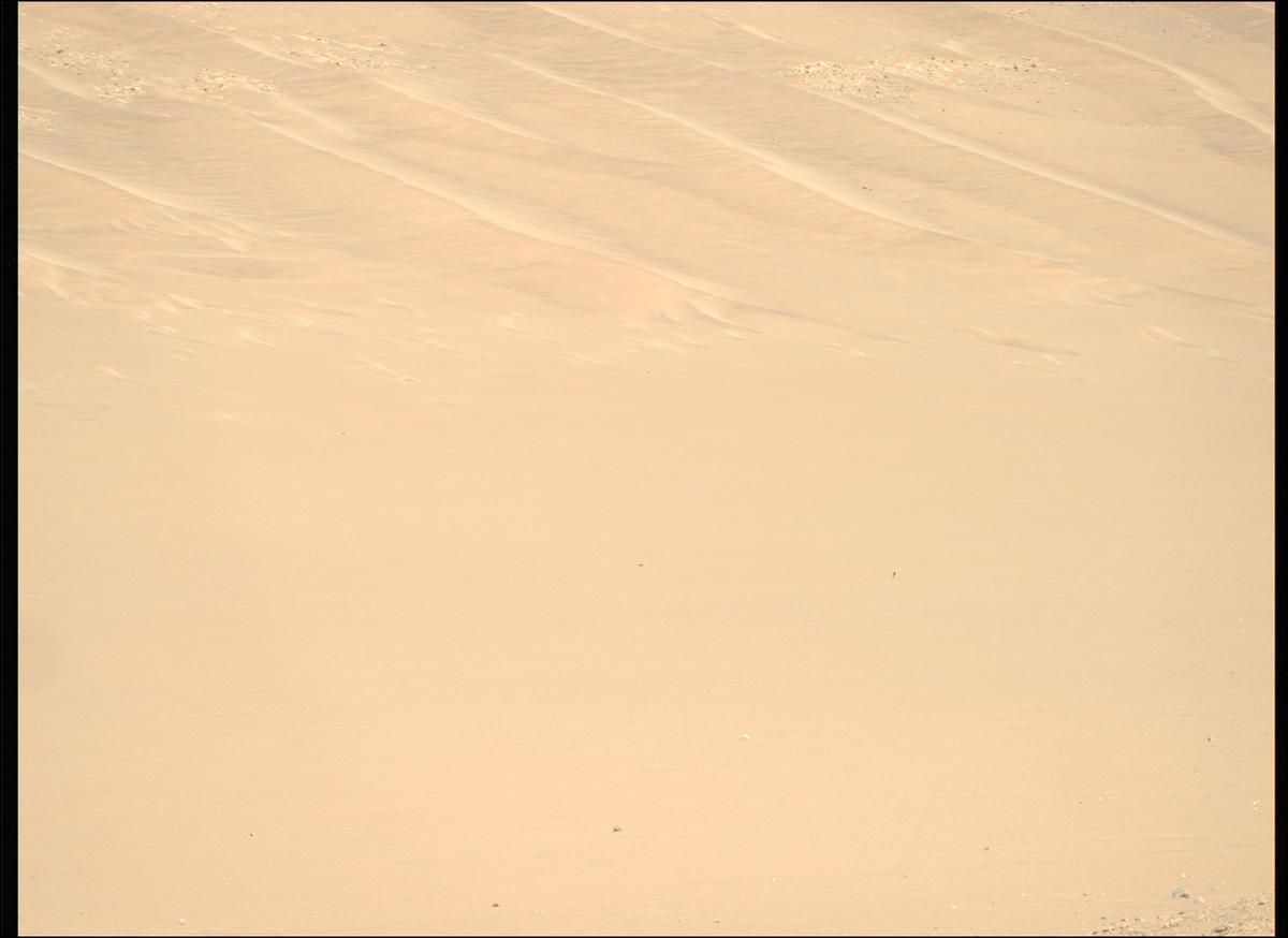 This image was taken by MCZ_RIGHT onboard NASA's Mars rover Perseverance on Sol 1461