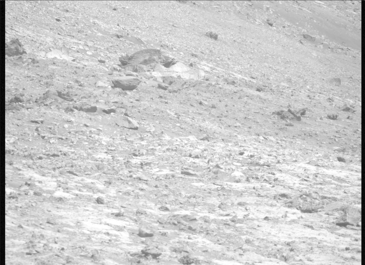 This image was taken by MCZ_RIGHT onboard NASA's Mars rover Perseverance on Sol 1461