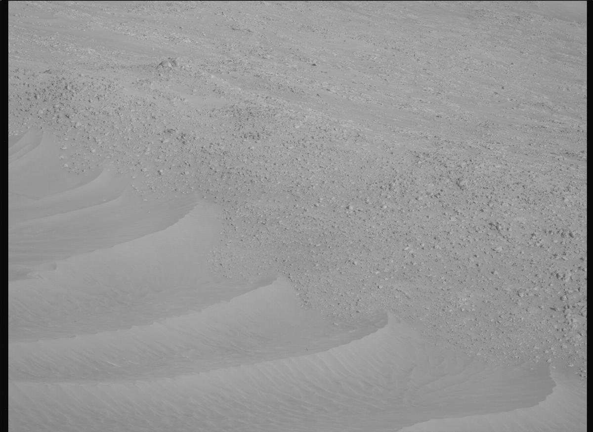 This image was taken by MCZ_LEFT onboard NASA's Mars rover Perseverance on Sol 1462