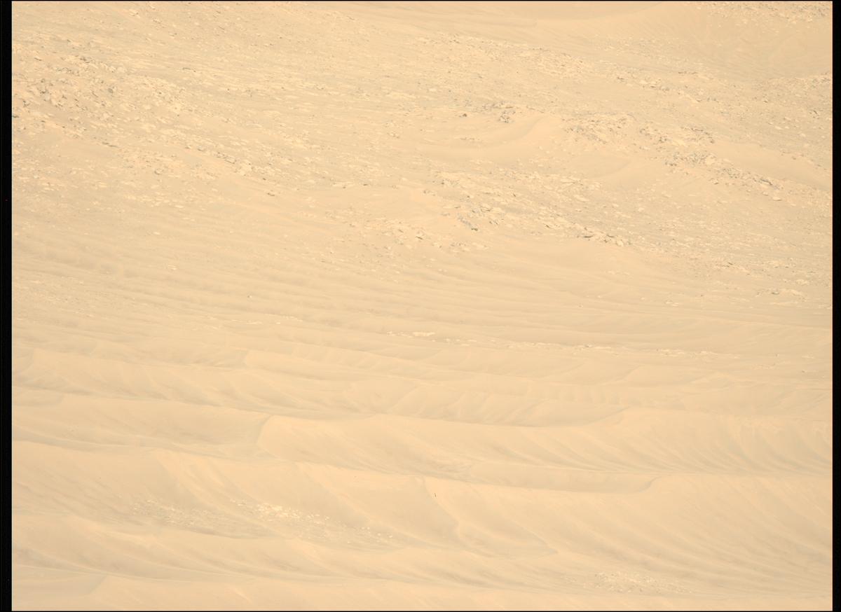 This image was taken by MCZ_LEFT onboard NASA's Mars rover Perseverance on Sol 1462