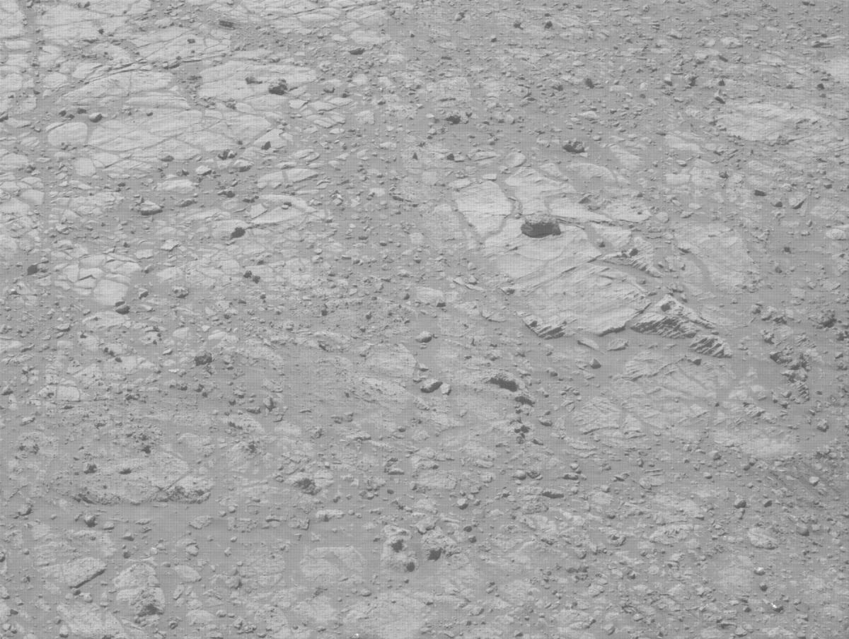 This image was taken by NAVCAM_LEFT onboard NASA's Mars rover Perseverance on Sol 1464