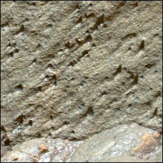 View image taken on Mars, Mars Perseverance Sol 1465: WATSON Camera 