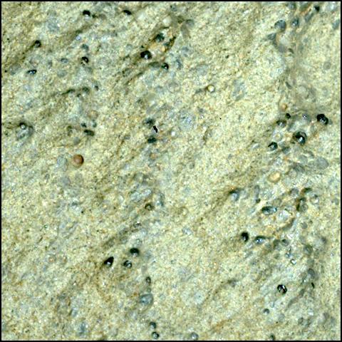 This image was taken by SHERLOC_WATSON onboard NASA's Mars rover Perseverance on Sol 1465