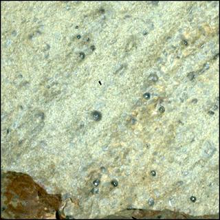 View image taken on Mars, Mars Perseverance Sol 1465: WATSON Camera 