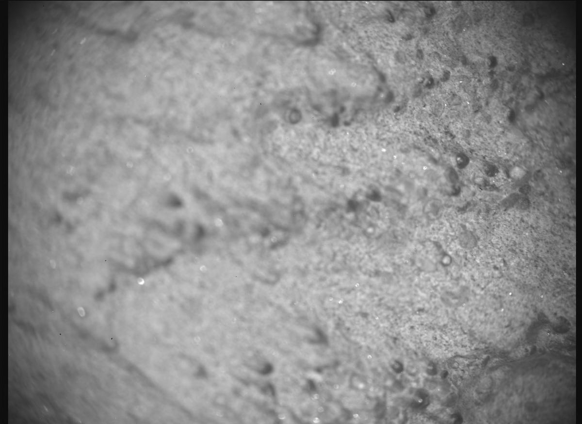 This image was taken by SHERLOC_ACI onboard NASA's Mars rover Perseverance on Sol 1466