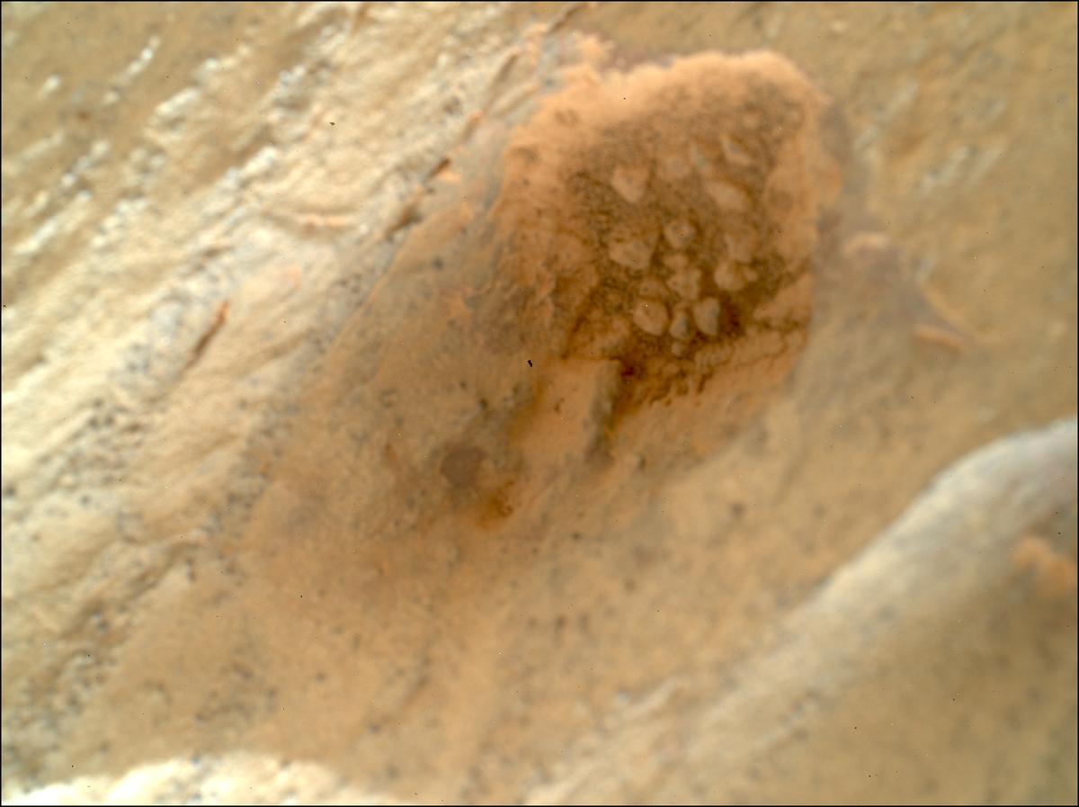 This image was taken by SHERLOC_WATSON onboard NASA's Mars rover Perseverance on Sol 1466