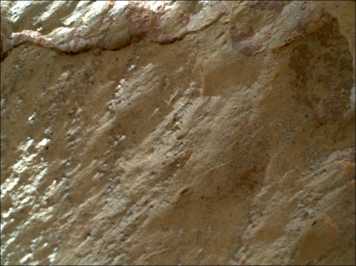 This image was taken by SHERLOC_WATSON onboard NASA's Mars rover Perseverance on Sol 1466