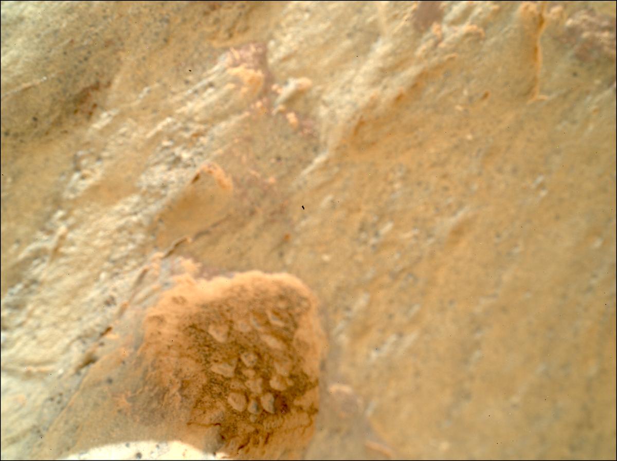 This image was taken by SHERLOC_WATSON onboard NASA's Mars rover Perseverance on Sol 1466