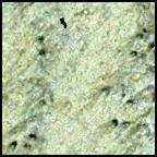 View image taken on Mars, Mars Perseverance Sol 1466: WATSON Camera 