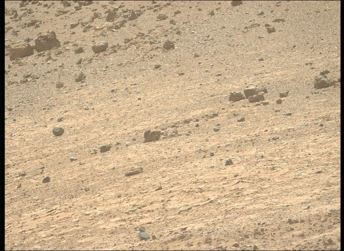This image was taken by MCZ_LEFT onboard NASA's Mars rover Perseverance on Sol 1466