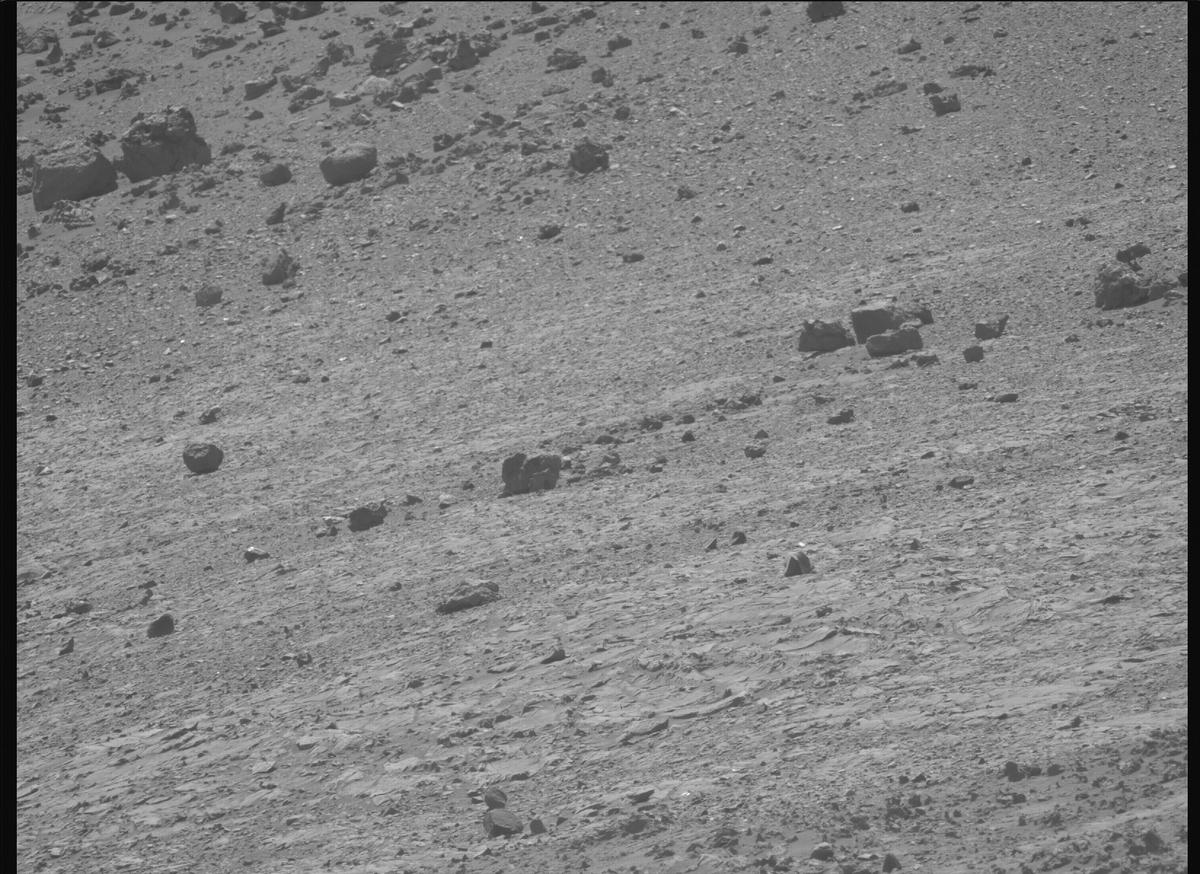 This image was taken by MCZ_LEFT onboard NASA's Mars rover Perseverance on Sol 1466