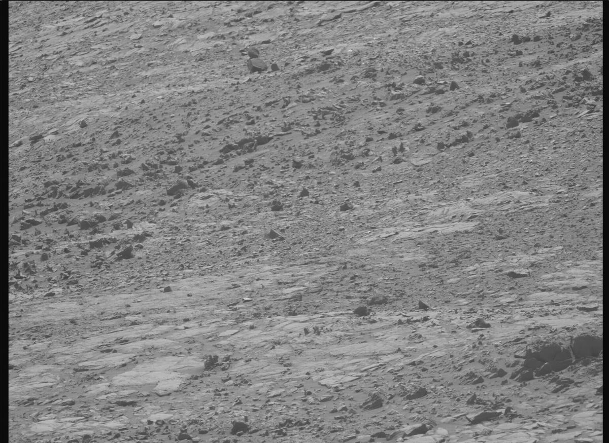 This image was taken by MCZ_LEFT onboard NASA's Mars rover Perseverance on Sol 1466