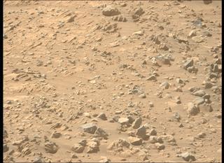 View image taken on Mars, Mars Perseverance Sol 1466: Left Mastcam-Z Camera