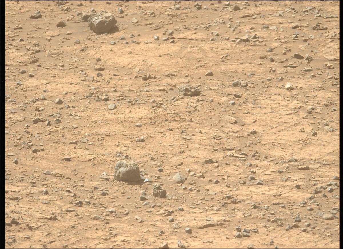 This image was taken by MCZ_LEFT onboard NASA's Mars rover Perseverance on Sol 1466