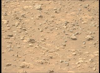 View image taken on Mars, Mars Perseverance Sol 1466: Left Mastcam-Z Camera
