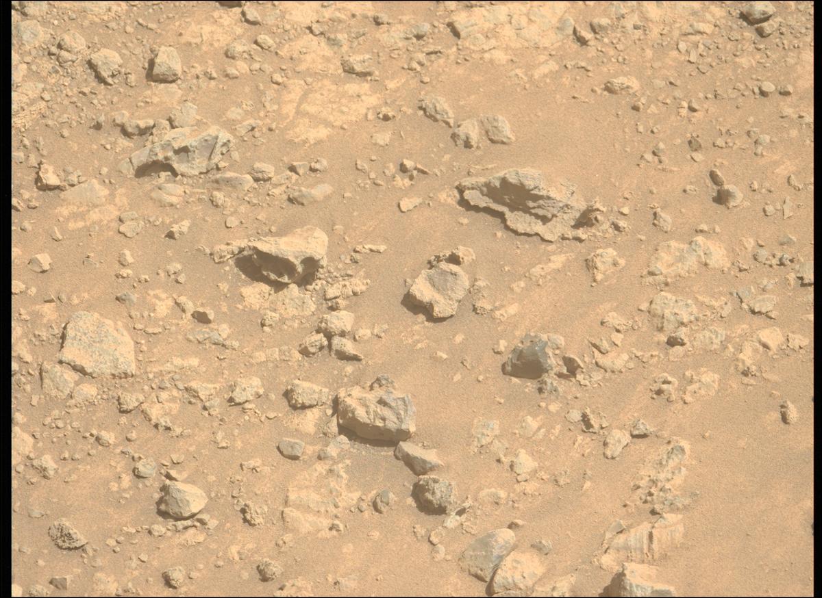 This image was taken by MCZ_LEFT onboard NASA's Mars rover Perseverance on Sol 1466