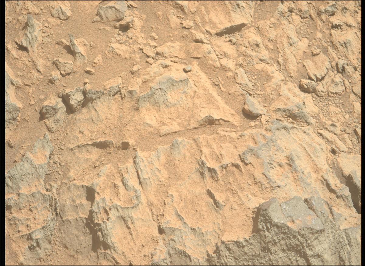 This image was taken by MCZ_LEFT onboard NASA's Mars rover Perseverance on Sol 1466