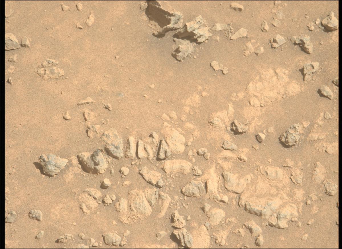 This image was taken by MCZ_LEFT onboard NASA's Mars rover Perseverance on Sol 1466