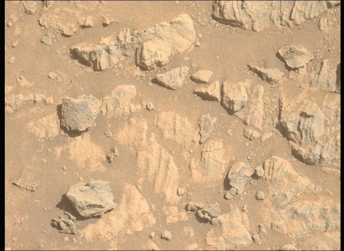 This image was taken by MCZ_LEFT onboard NASA's Mars rover Perseverance on Sol 1466