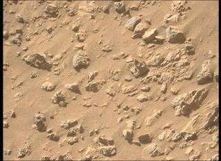 View image taken on Mars, Mars Perseverance Sol 1466: Left Mastcam-Z Camera
