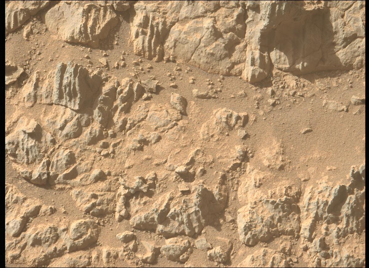 This image was taken by MCZ_LEFT onboard NASA's Mars rover Perseverance on Sol 1466