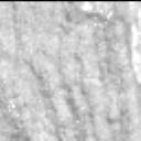 This image was taken by MCZ_LEFT onboard NASA's Mars rover Perseverance on Sol 1466