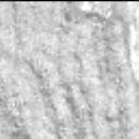 View image taken on Mars, Mars Perseverance Sol 1466: Left Mastcam-Z Camera