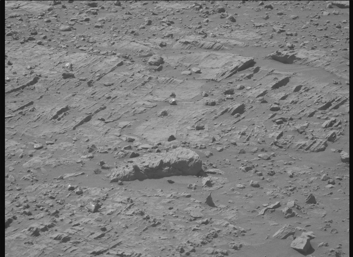 This image was taken by MCZ_RIGHT onboard NASA's Mars rover Perseverance on Sol 1466