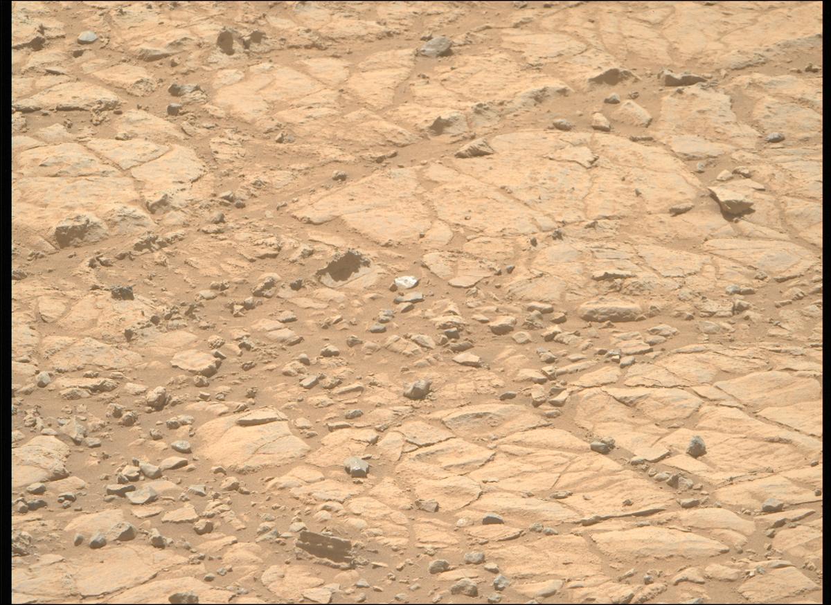 This image was taken by MCZ_RIGHT onboard NASA's Mars rover Perseverance on Sol 1466