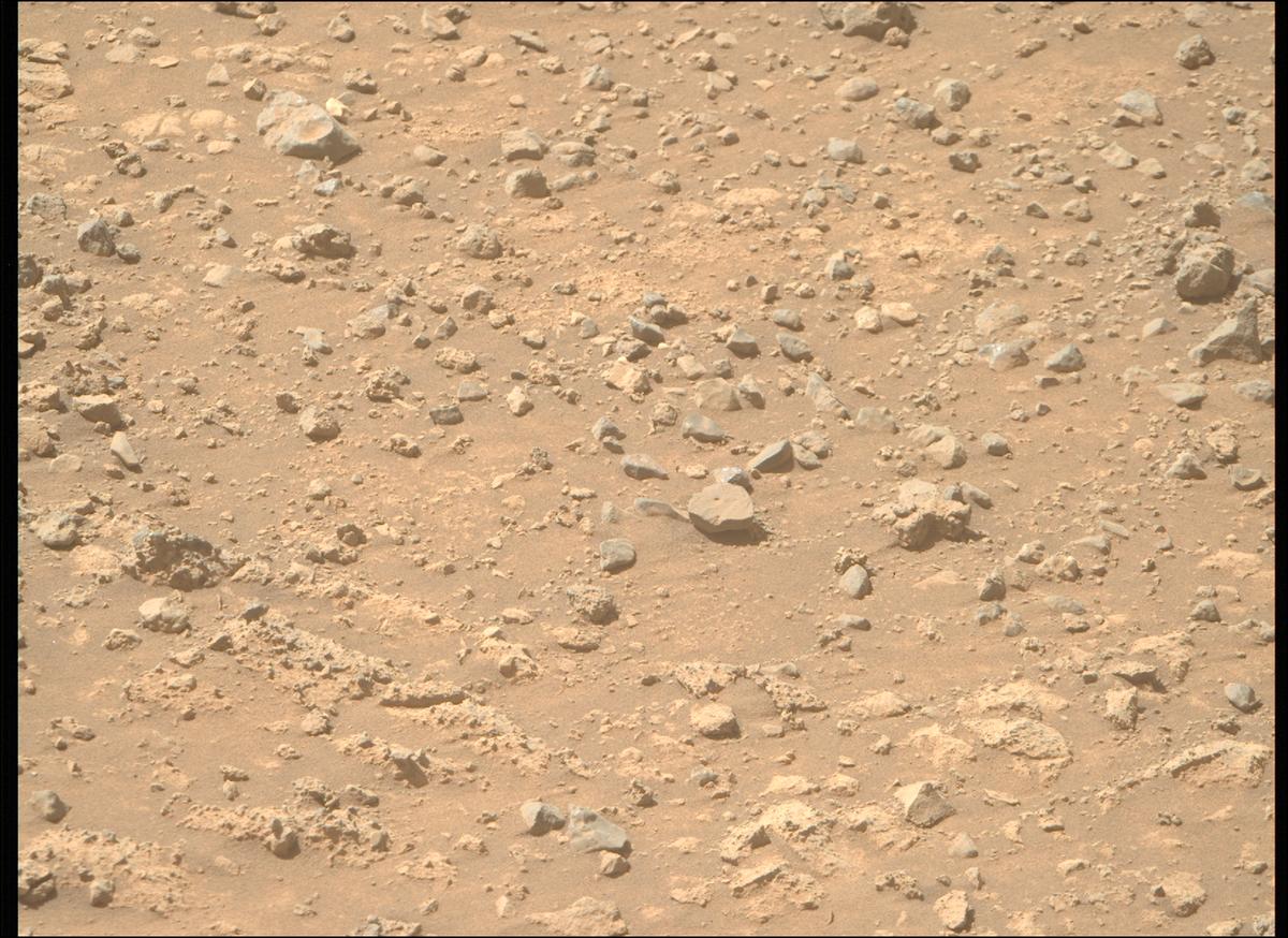 This image was taken by MCZ_RIGHT onboard NASA's Mars rover Perseverance on Sol 1466