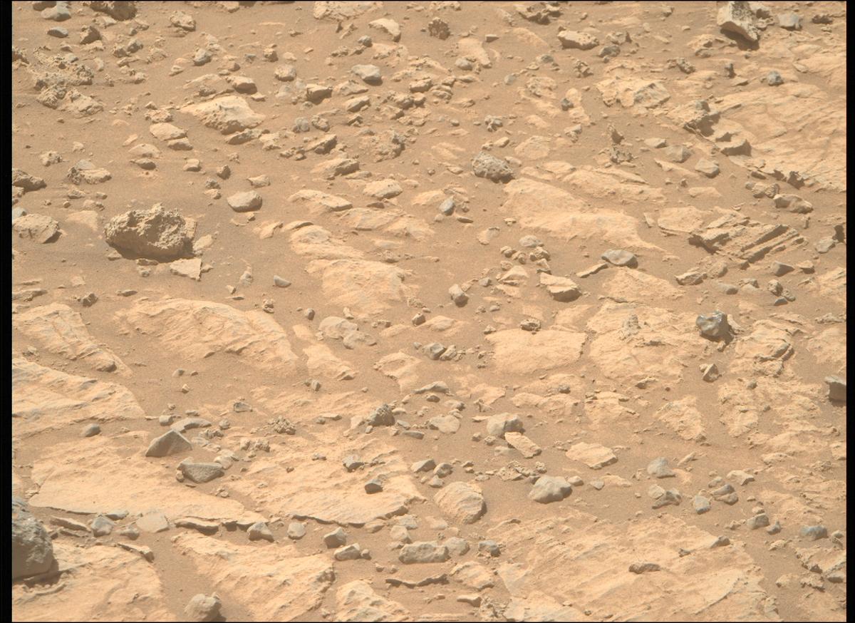 This image was taken by MCZ_RIGHT onboard NASA's Mars rover Perseverance on Sol 1466