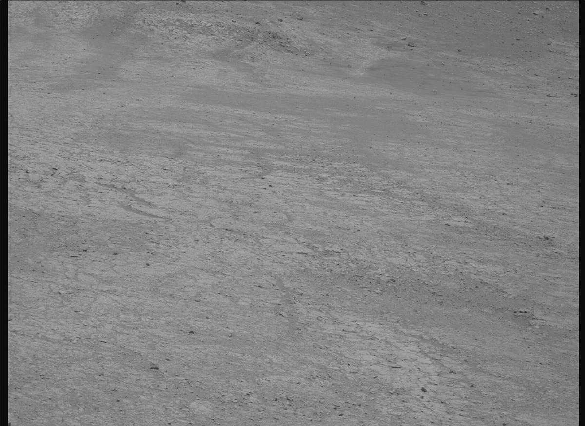 This image was taken by MCZ_RIGHT onboard NASA's Mars rover Perseverance on Sol 1466