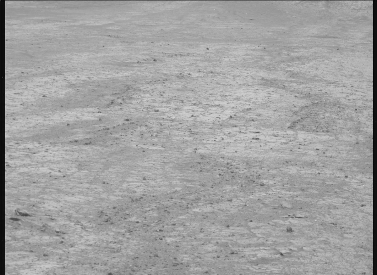This image was taken by MCZ_RIGHT onboard NASA's Mars rover Perseverance on Sol 1466
