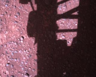 View image taken on Mars, Mars Perseverance Sol 1468: Rover Down-Look Camera