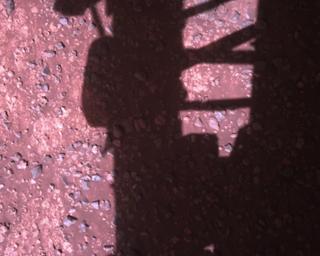 View image taken on Mars, Mars Perseverance Sol 1468: Rover Down-Look Camera