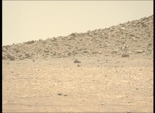 View image taken on Mars, Mars Perseverance Sol 1469: Left Mastcam-Z Camera