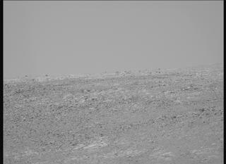 View image taken on Mars, Mars Perseverance Sol 1469: Left Mastcam-Z Camera