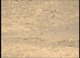 View image taken on Mars, Mars Perseverance Sol 1469: Left Mastcam-Z Camera
