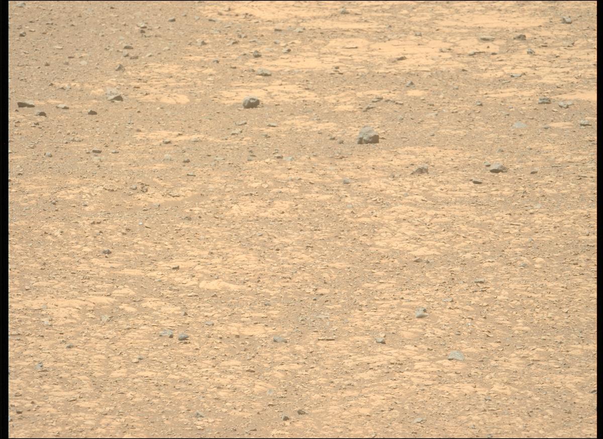 This image was taken by MCZ_LEFT onboard NASA's Mars rover Perseverance on Sol 1469