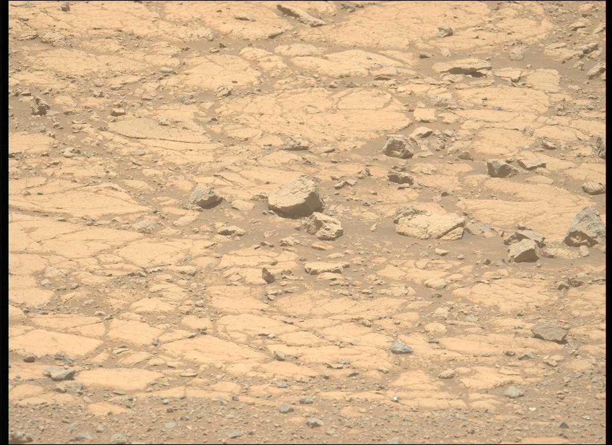 This image was taken by MCZ_LEFT onboard NASA's Mars rover Perseverance on Sol 1469