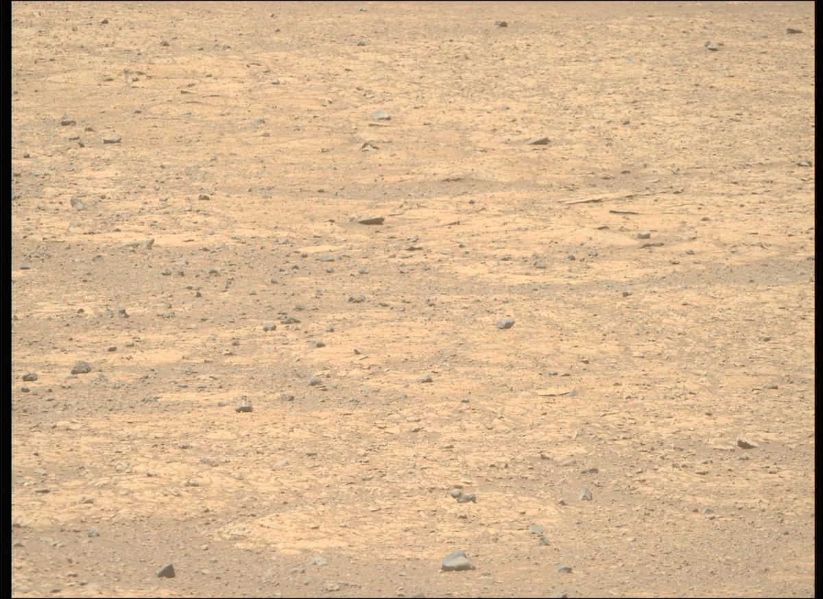 This image was taken by MCZ_RIGHT onboard NASA's Mars rover Perseverance on Sol 1469